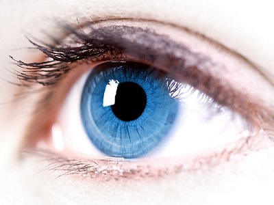 the fearfully and wonderfully made human eye the fearfully and wonderfully made human eye